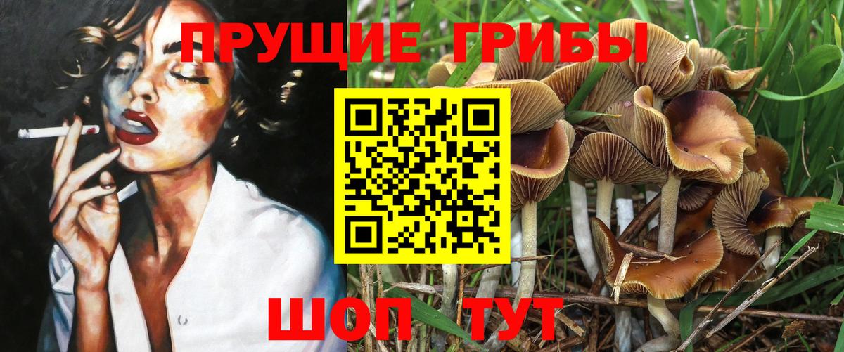 Галлюциногенные грибы прущие грибы  цена   Невинномысск  Вход с VPN 